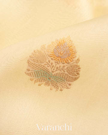 Cream Pure Kora Silk Handloom Saree
