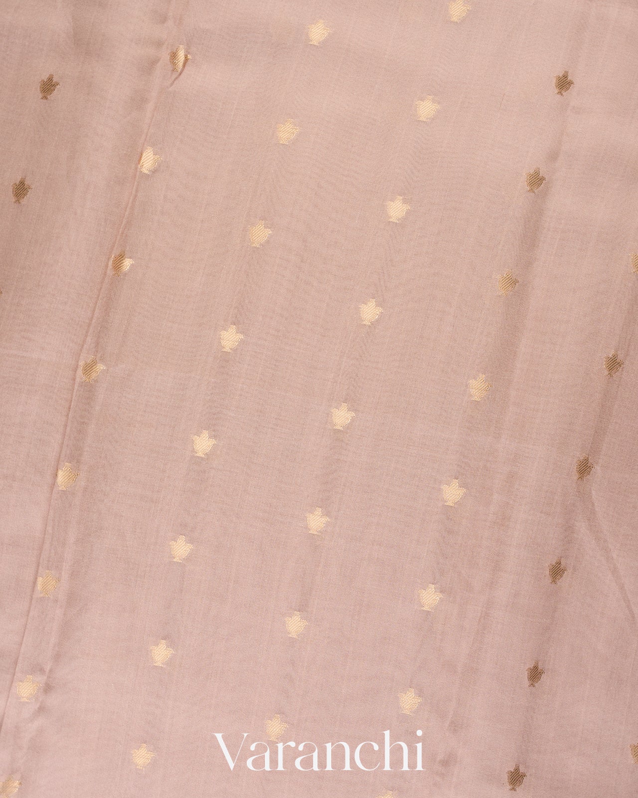 Blush Beige Digital Printed Pure Chiniya Silk Saree 