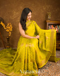 Light Lemon Green Pure Chiniya Silk Handloom Saree 