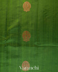 Leaf Green Borderless Pure Raw Silk Handloom Saree