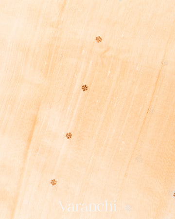 Off-White Borderless Pure Raw Silk Handloom Saree