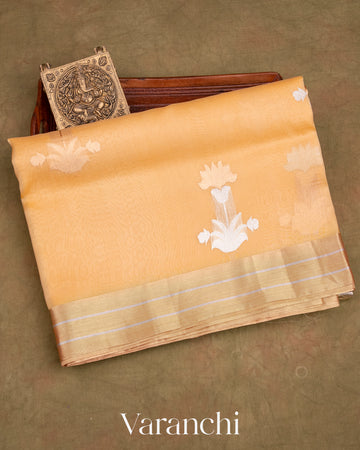 Sandalwood Yellow Pure Tissue Kora Silk Handloom Saree