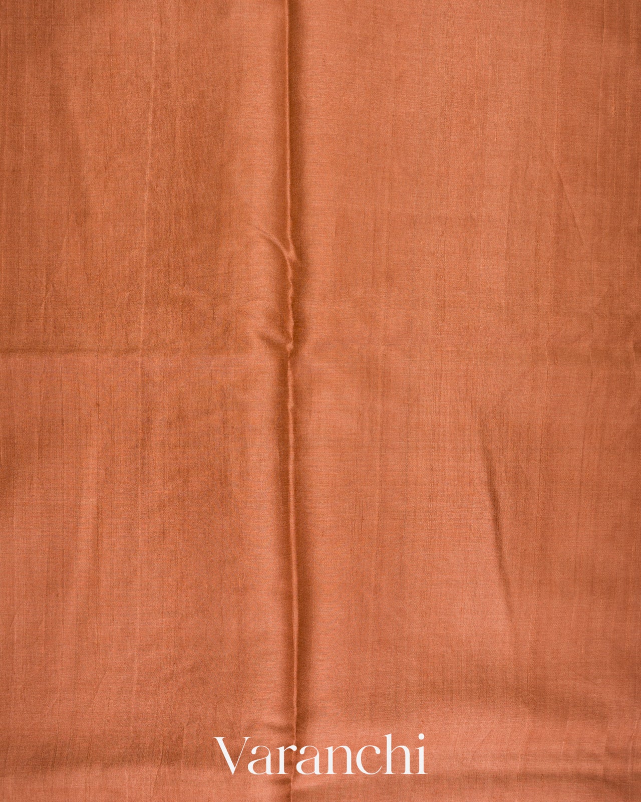 Muted Rust Orange Tissue Applique and Embroidery Pure Tussar Silk Saree