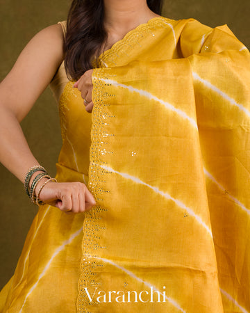 Yellow Mirror Hand-Embroidered Pure Tussar Silk Handloom Saree