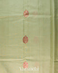 Sage Green Pure Chanderi Silk Cotton Handloom Saree