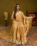 Golden Yellow Brocade Lace Bordered Pure Tissue Kora Silk Saree — Draped