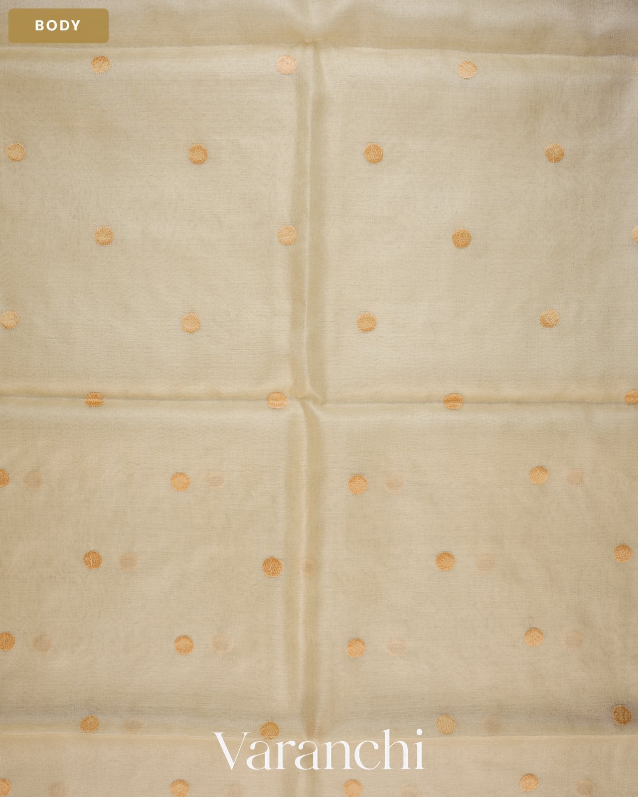 Off-White Paithani Embroidered Border Pure Tussar Silk Saree — Body