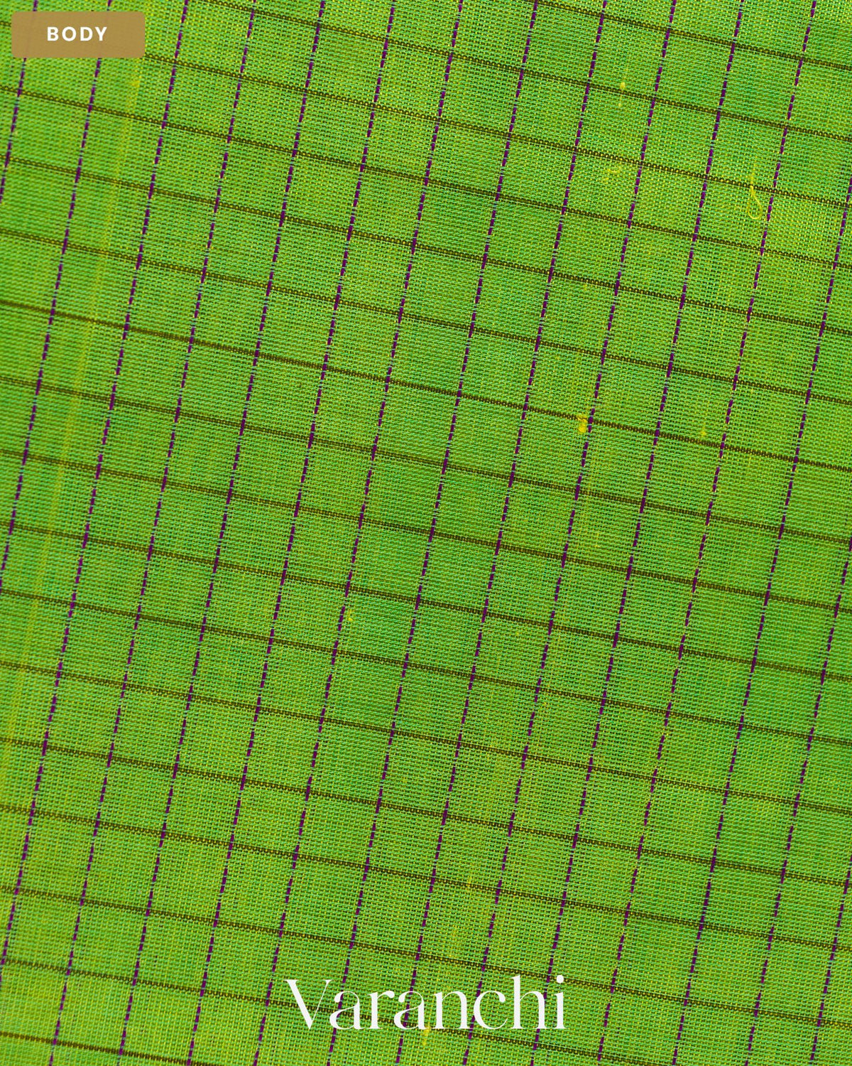 Parrot Green Checkered Pure Kanchipuram Silk Cotton Handloom Saree — Body