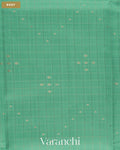 Aqua Green Checkered Pure Chiniya Silk Saree — Body