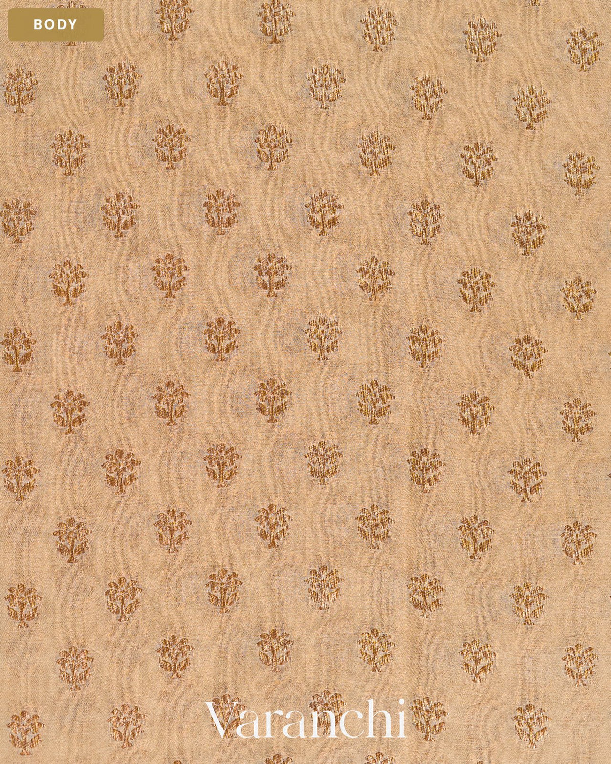 Beige Pure Khaddi Georgette Silk Handloom Saree — Body