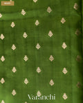 Parrot Green Pure Dupion Silk Handloom Saree — Body