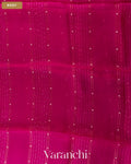 Rani Pink Sequin Striped Pure Muslin Silk Handloom Saree — Body