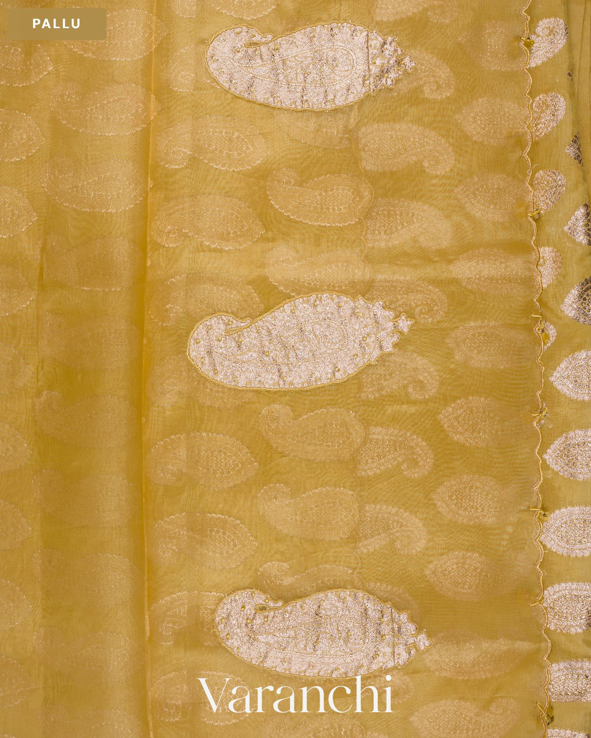 Muted Yellow Paisley Applique and Scalloped Bordered Pure Kora Silk Saree — Pallu