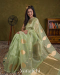 Mint Green Borderless Pure Kora Silk Handloom Saree